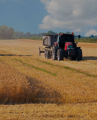 Travaux agricoles - Fournier